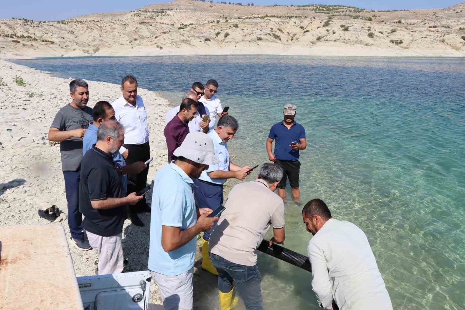Atatürk Barajı'nda Şabutların Deniz Yolculuğu