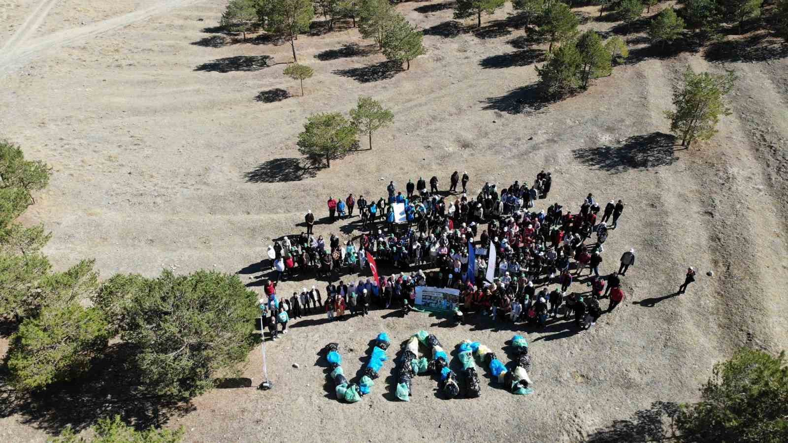 Van'ın Yeşil Gönüllüleri: Ormanı Temizliğe Adadılar