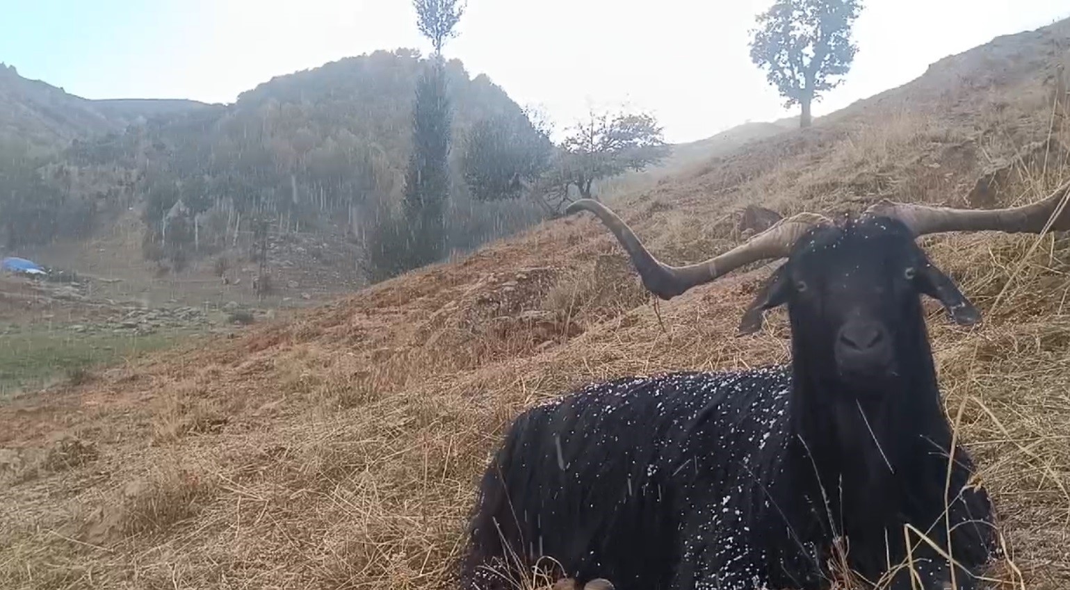 Yıkım